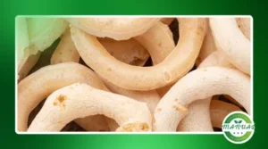 Biscoito de polvilho assado que não murcha
