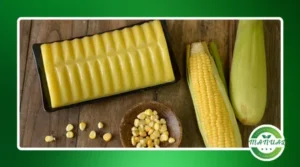 Faça um cremoso pudim de milho verde com leite condensado!