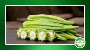 Quiabo sem baba: todos segredos para saborear esse ingrediente