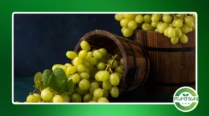 A inigualável receita de sobremesa de uvas verdes