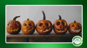 Como fazer abóbora para Halloween de maneira fácil?