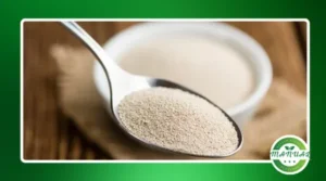 Como fazer fermento natural e como usar nas receitas?