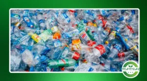 Reciclagem de garrafa pet: o que dá para fazer em casa?