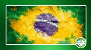 Cadastre-se no Alimenta Brasil: O primeiro passo!