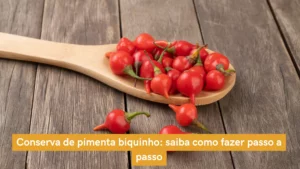 Conserva de pimenta biquinho: saiba como fazer passo a passo