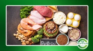 High-Protein Recipes: Boost Your Protein Intake