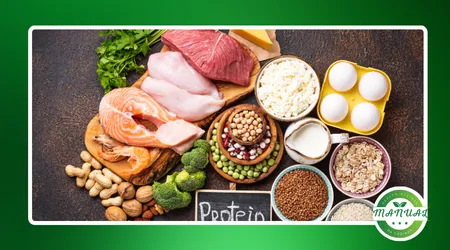 High-Protein Recipes: Boost Your Protein Intake