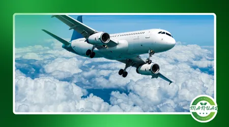 CheapOair: Encontre as Melhores Ofertas de Passagens Aéreas Nacionais e Internacionais