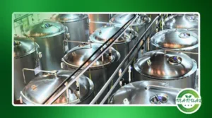 Por que fermentação natural é a tendência que você precisa conhecer
