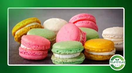 Macarons Franceses: Como Fazer Doces Elegantes na Sua Cozinha