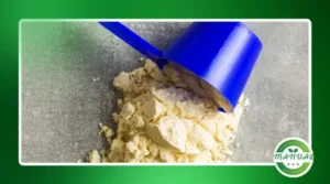 Receitas com Whey Protein para incluir na sua dieta