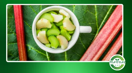 7 Truques Geniais para Reaproveitar Alimentos na Cozinha