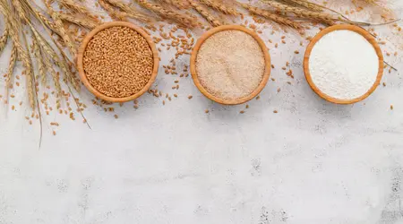 armazenamento de grãos e farinhas