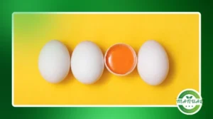 Os benefícios do ovo na alimentação do dia a dia