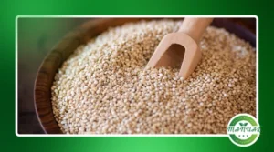 Receitas com quinoa: opções proteicas e cheias de sabor
