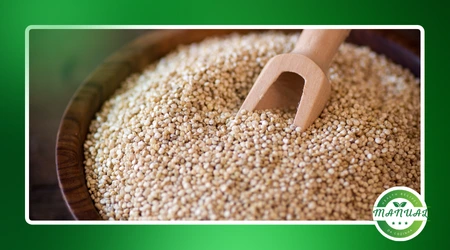 Receitas com quinoa 