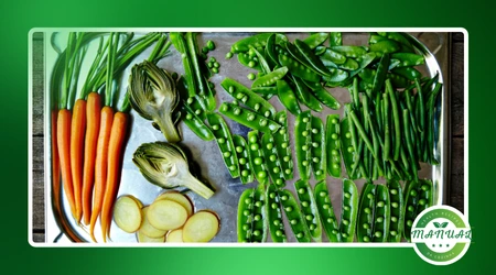 Mise en Place