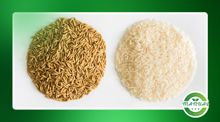 Arroz integral x arroz branco