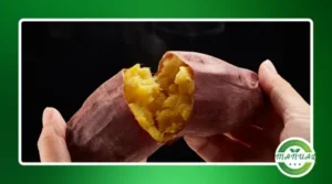 Batata-doce: energia saudável para o dia a dia