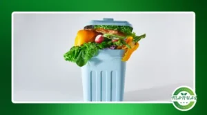 Como reutilizar sobras de comida de forma criativa