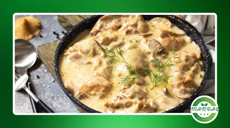 strogonoff de frango cremoso