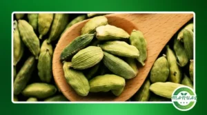 Doces com ingredientes exóticos: matcha, cardamomo e frutas tropicais