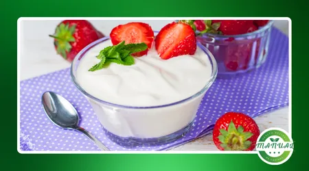 iogurte caseiro natural com frutas