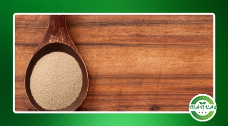 Diferença entre fermento biológico e químico