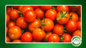 Por que o tomate é considerado um superalimento