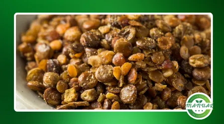 Receitas vegetarianas natal