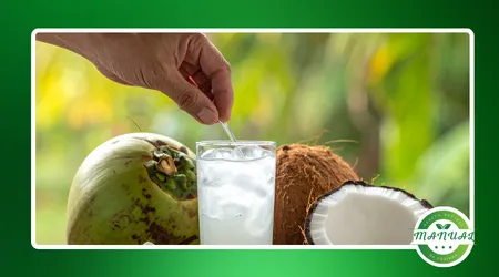 efeitos positivos da água de coco