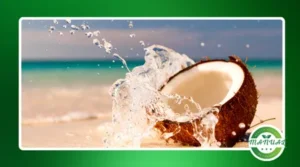 Os efeitos positivos da água de coco na hidratação