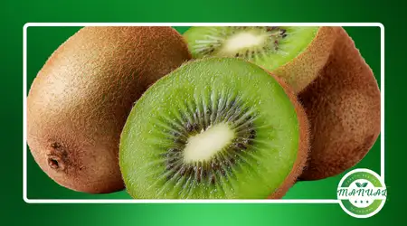nutrients do kiwi