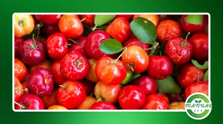 efeitos da acerola