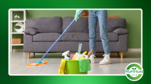Veja Agora Como Trabalhar com Limpeza de Casas