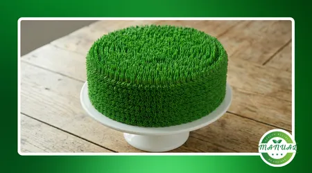 Bolo tema Copa do Mundo